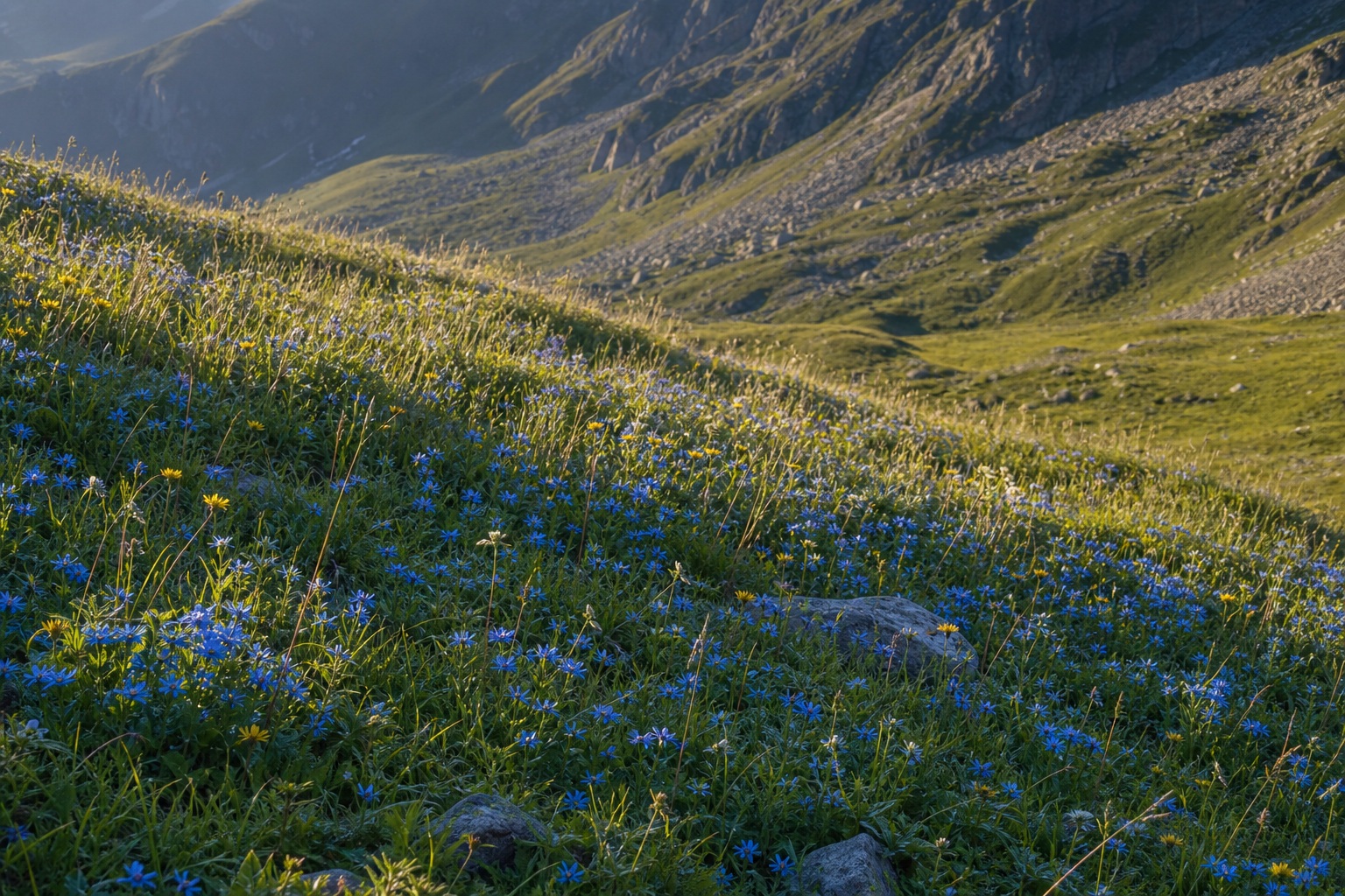 Preview for Blue Flower Slope Mountain Background