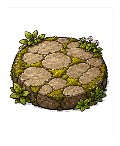Round mossy stepping stone with small green plants around the edges.