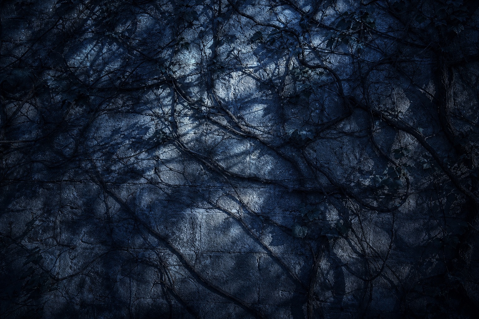 Preview for Botanical Shadow Study Background