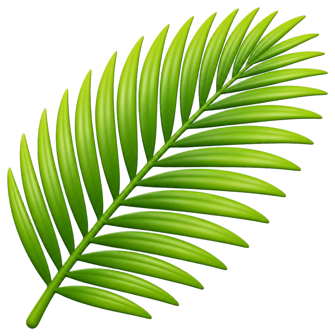 Preview for Palm Leaf Sticker Graphic