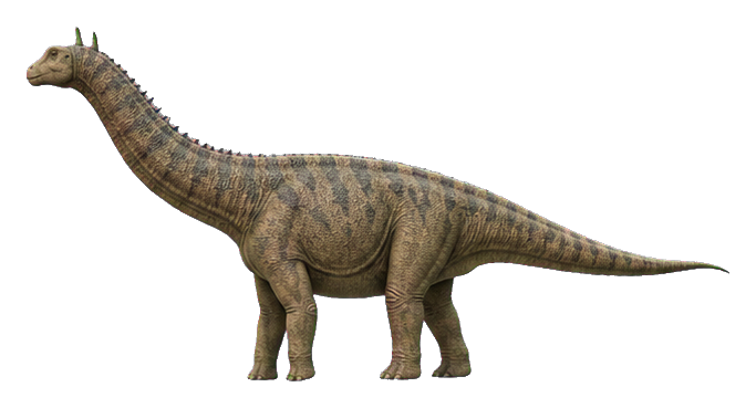Realistic double-spined Amargasaurus standing in side view.