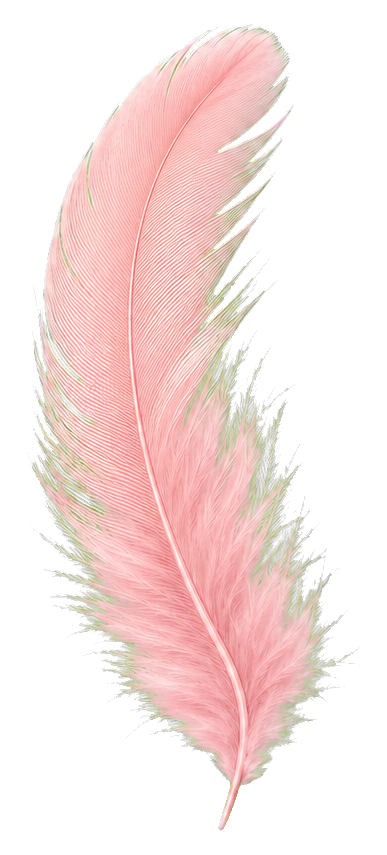 Preview for Pink Feather Sticker