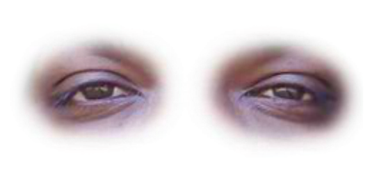 Preview for Human-eyes-close-up-sticker-7a61b