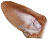 Preview for Modern-app-design-template-ears-sticker-0a0d1