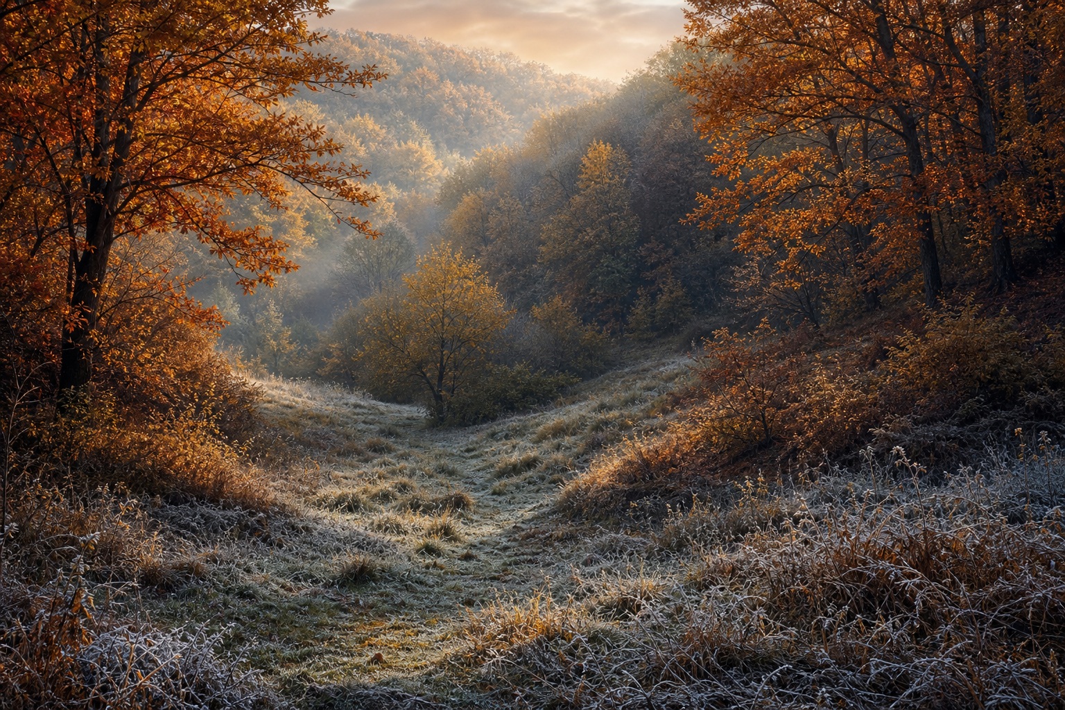 Preview for Autumn Valley Haze Stock Background