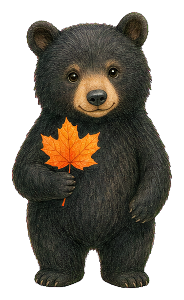 Preview for Black Bear With Maple Leaf Sticker