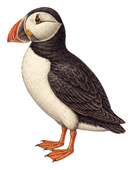 Preview for Vintage Bird Sticker Graphic
