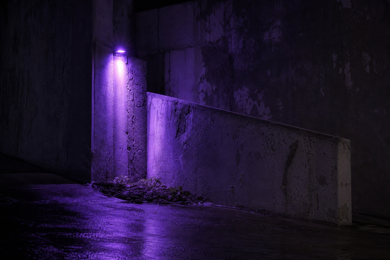 Preview for Violet Concrete Night Background