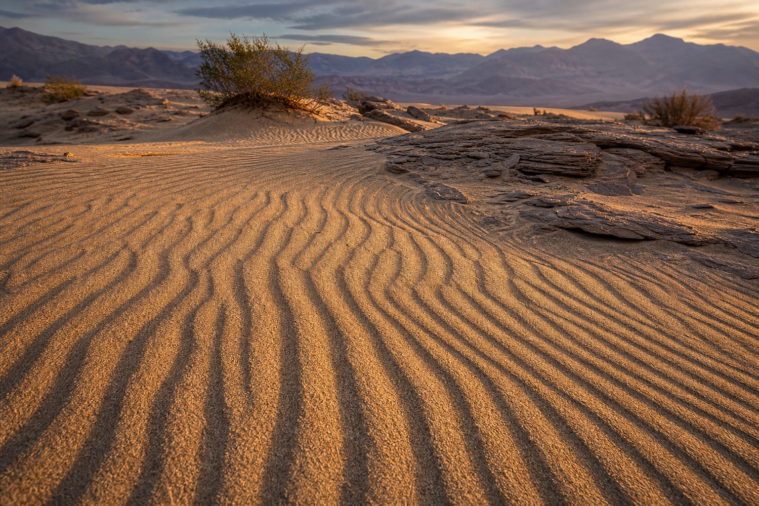 Preview for Wind-ripple Desert Dunes Background