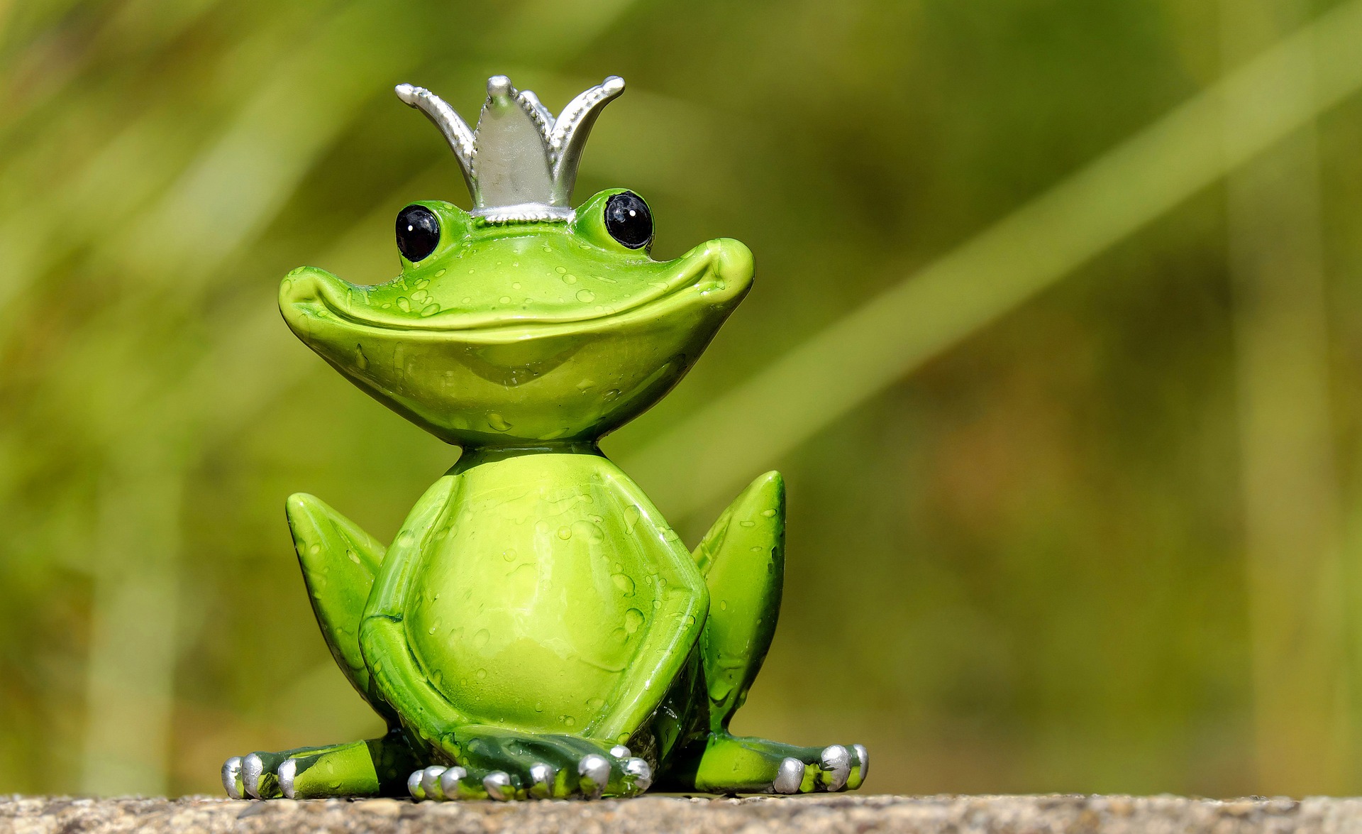 Preview for Frog-king-figurine-animal-meme-background-31d1a