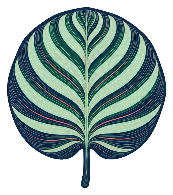 Preview for Calathea Orbifolia Sticker Graphic