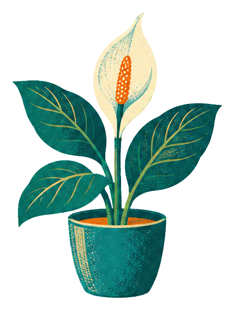 Preview for Risograph Houseplants Peace Lily