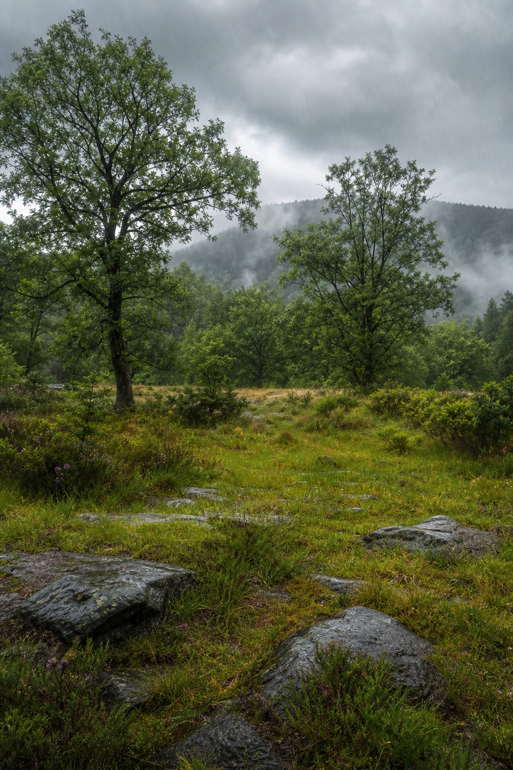 Preview for Rainy European Countryside Stock Background