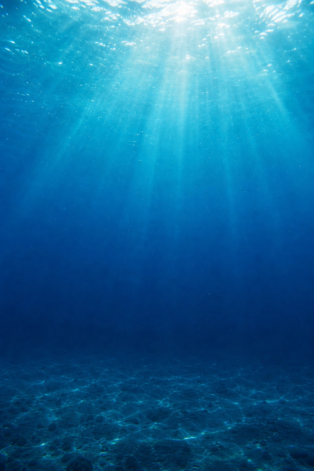 Blue underwater ocean scene with light rays streaming through clear water