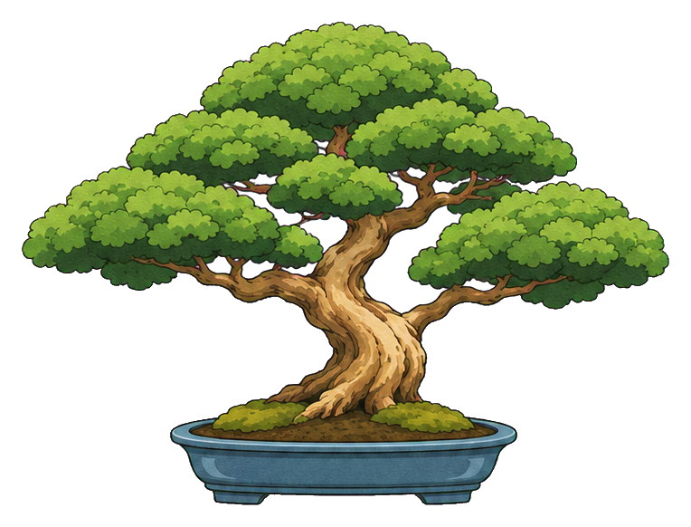 Preview for Chinese Elm Bonsai