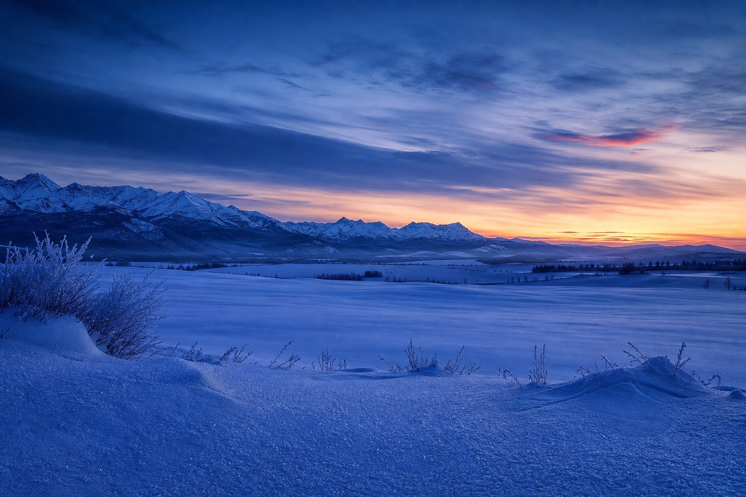 Preview for Winter Solstice Snowfield Background
