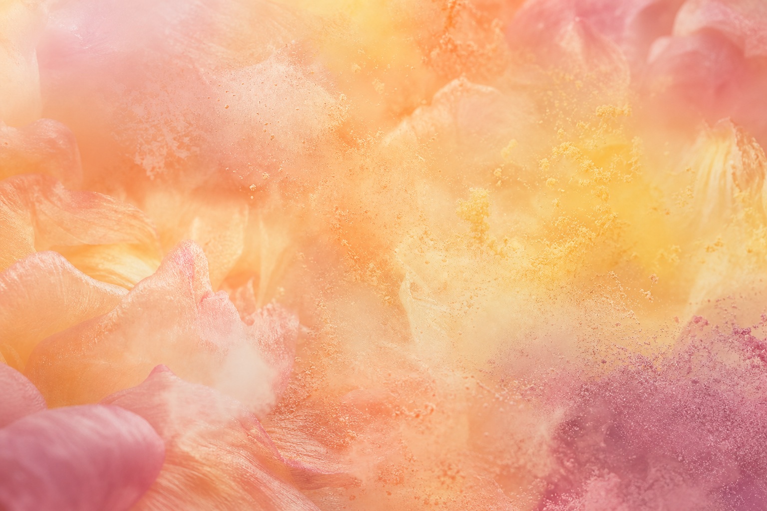 Preview for Soft Floral Organic Background Stock Image