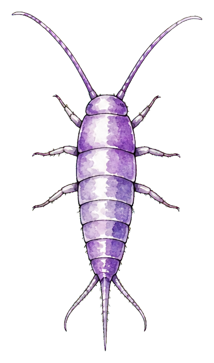 Preview for Lavender Silverfish Sticker