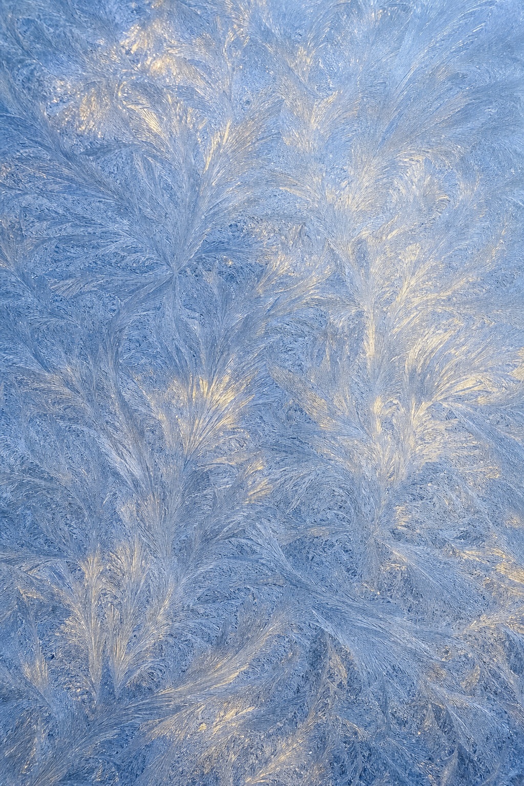 Blue frosted ice surface with delicate feather-like frost patterns and warm light highlights