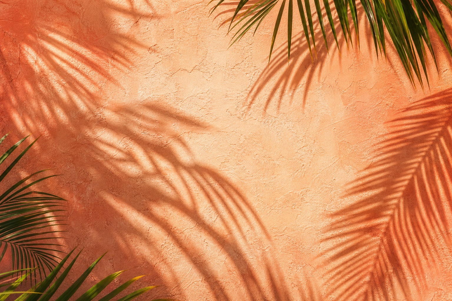 Palm frond shadows falling across a peach stucco wall.