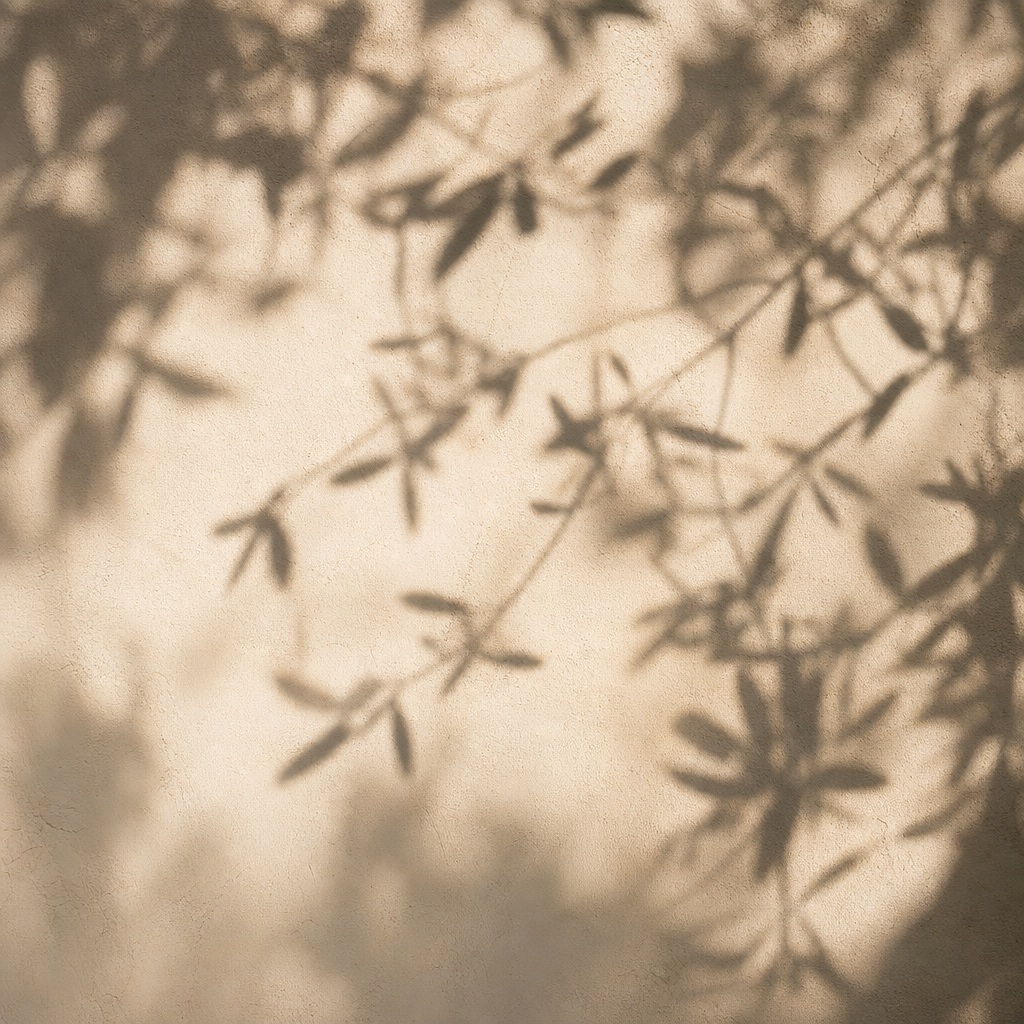 Preview for Square Branch Shadow Stock Background