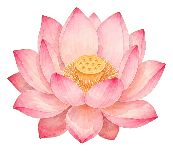 Preview for Blush Watercolor Lotus Sticker