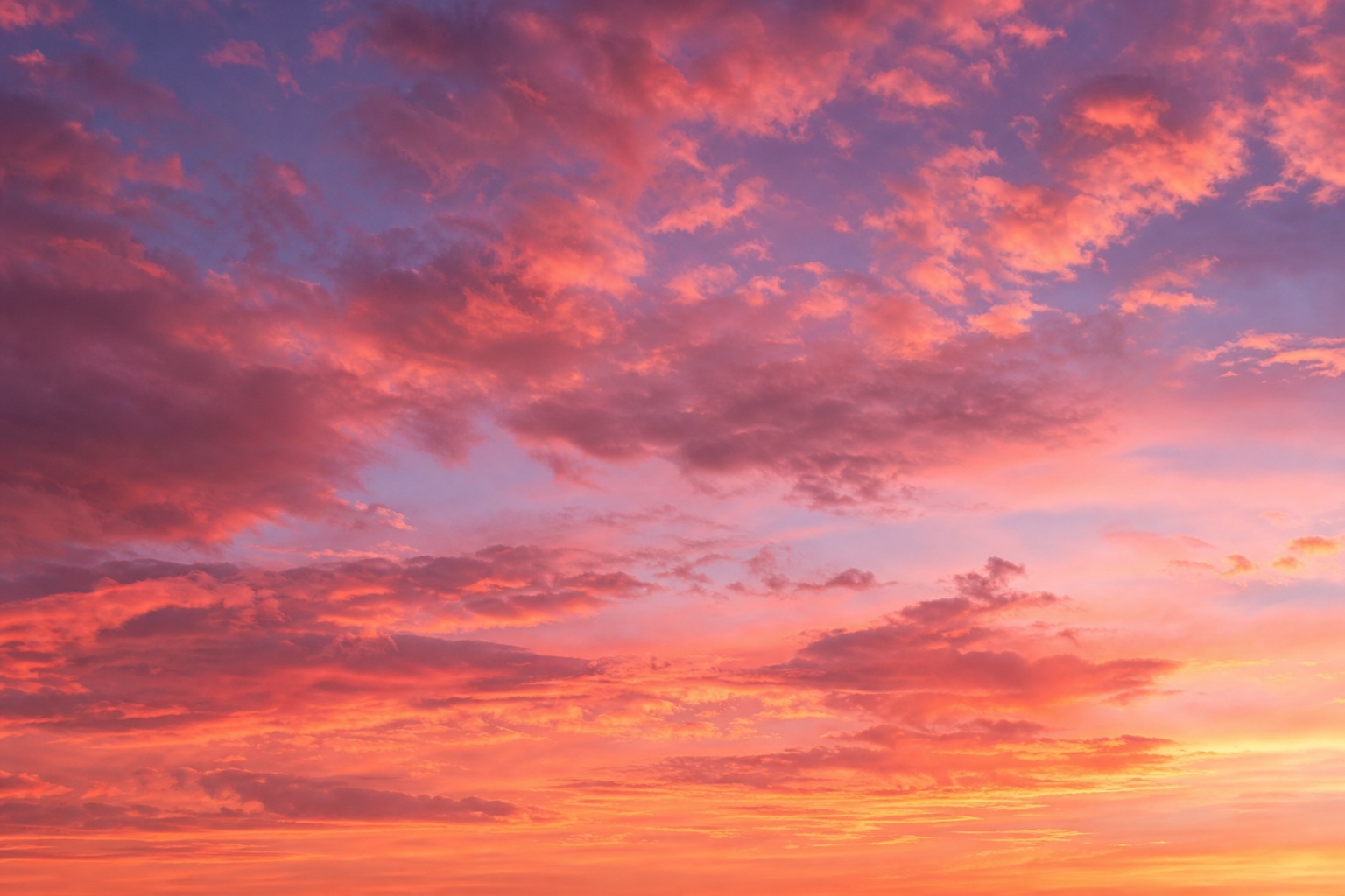 Preview for Pink Sunset Clouds Stock Background