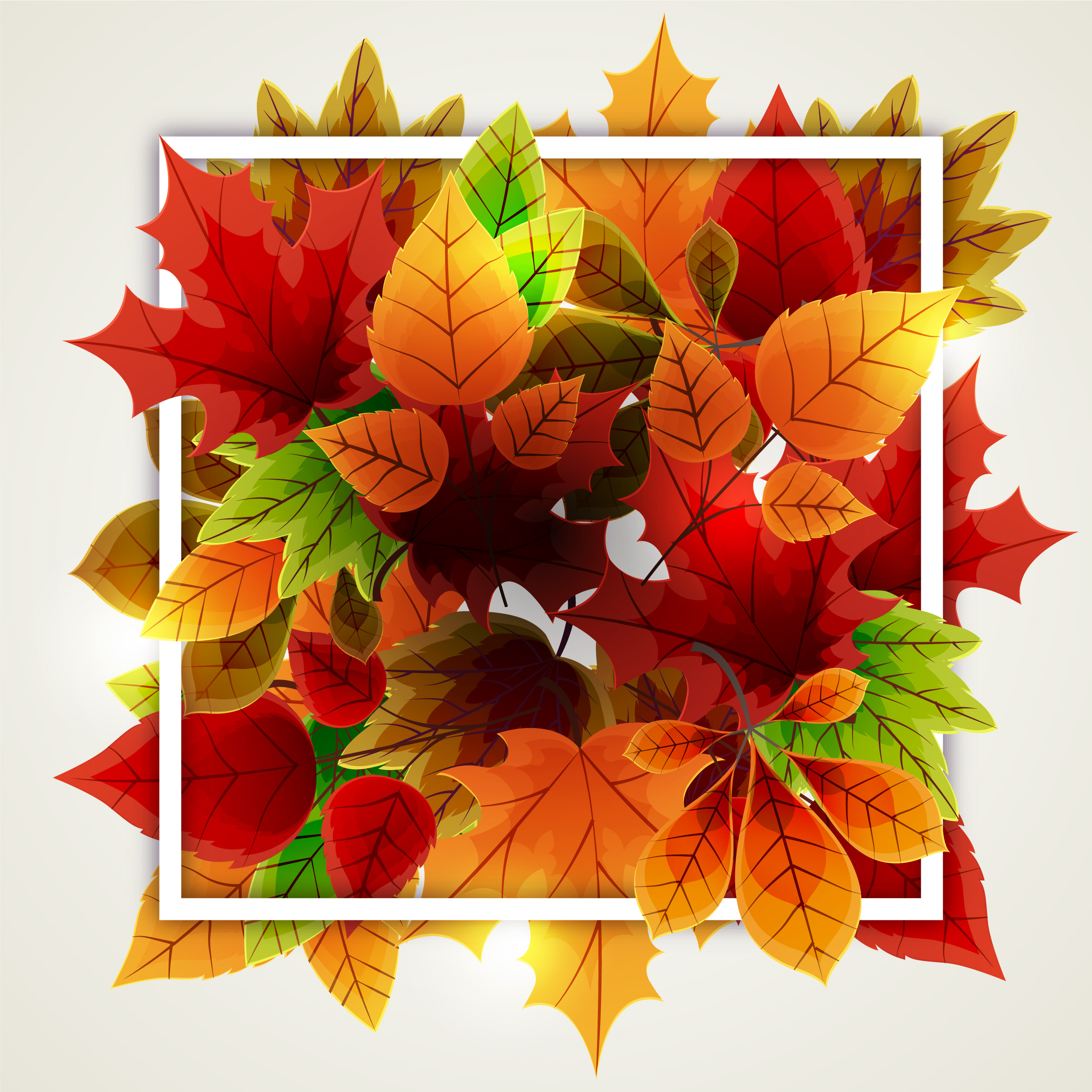 Preview for Autumn-leaves-colorful-arrangement-fall-background-c3762