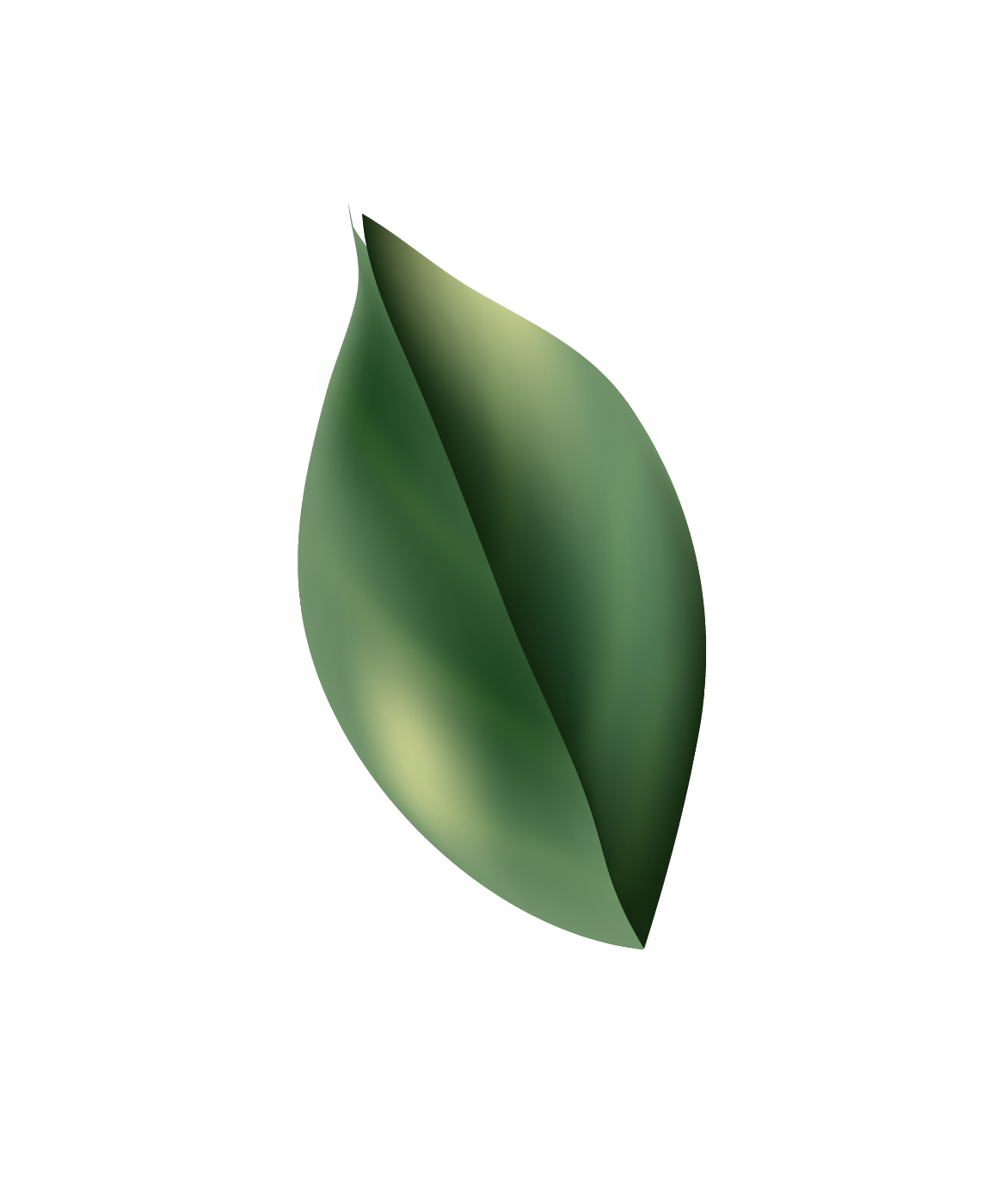 Preview for Green-leaf-icon-love-design-sticker-e047a