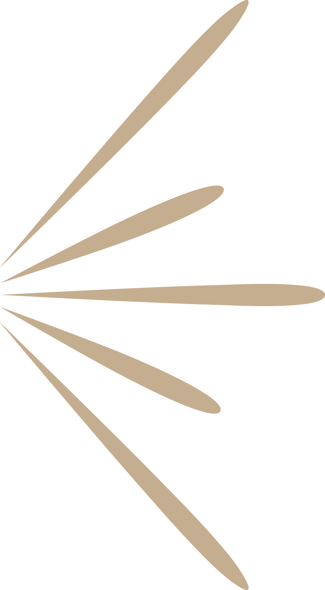 Preview for Abstract-design-elements-new-year-sticker-8dd10