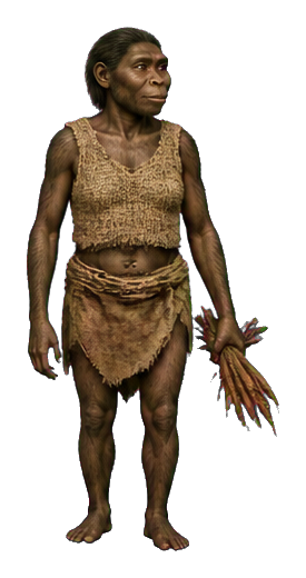 A photorealistic reconstruction of an Australopithecus afarensis forager standing in a neutral pose