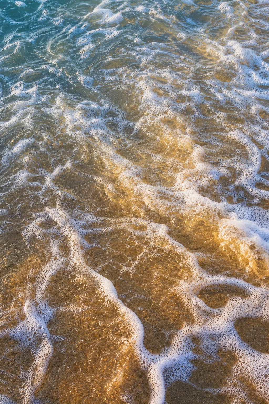 White sea foam rippling over wet sand in warm golden light