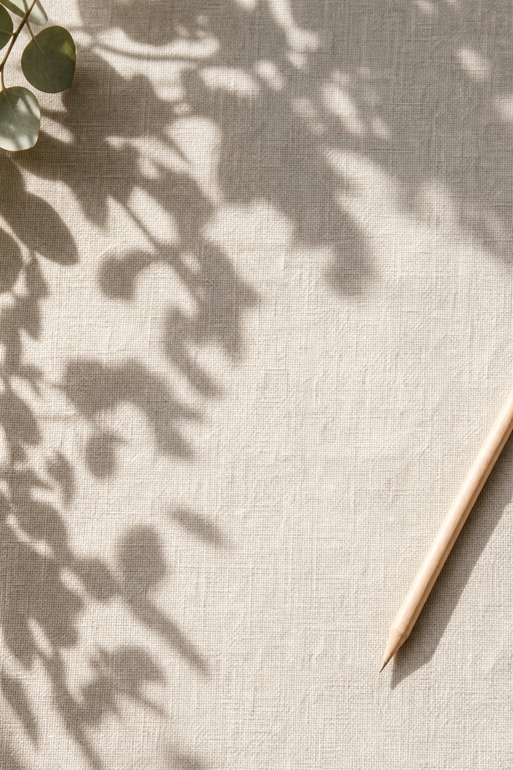 Soft plant shadows falling across a vertical linen-textured desk surface with a pencil at the edge