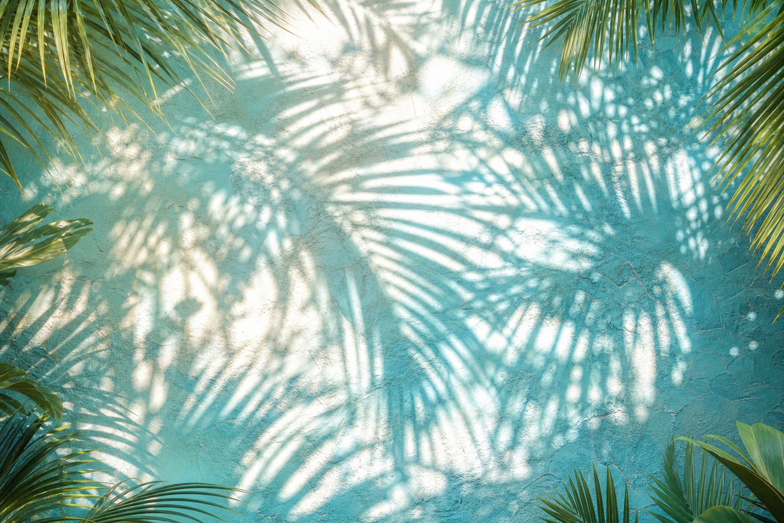 Palm leaf shadows cast across an aqua plaster background.