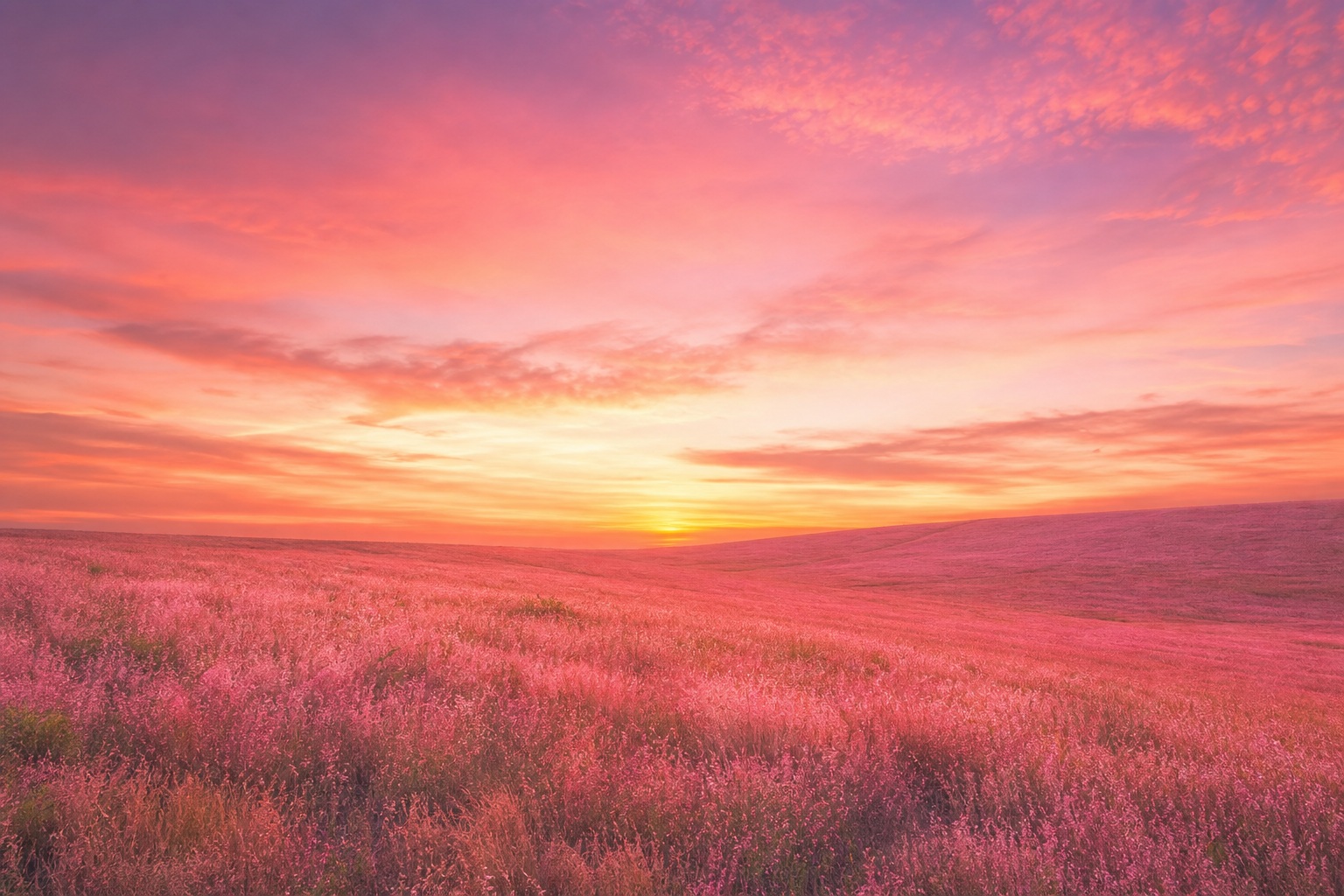 Pink sunrise sky over a softly tinted field with smooth warm gradient colors.