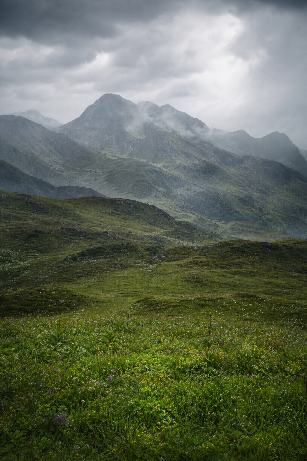 Preview for Rainy Mountain Meadow Background