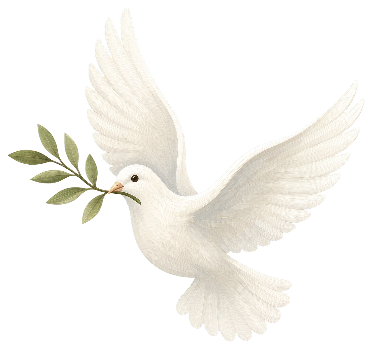 White dove flying with a green branch in its beak