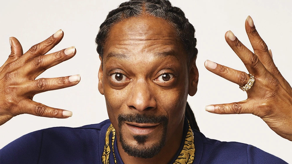 Preview for Snoop-dogg-portrait-celebrity-meme-background-d09f8