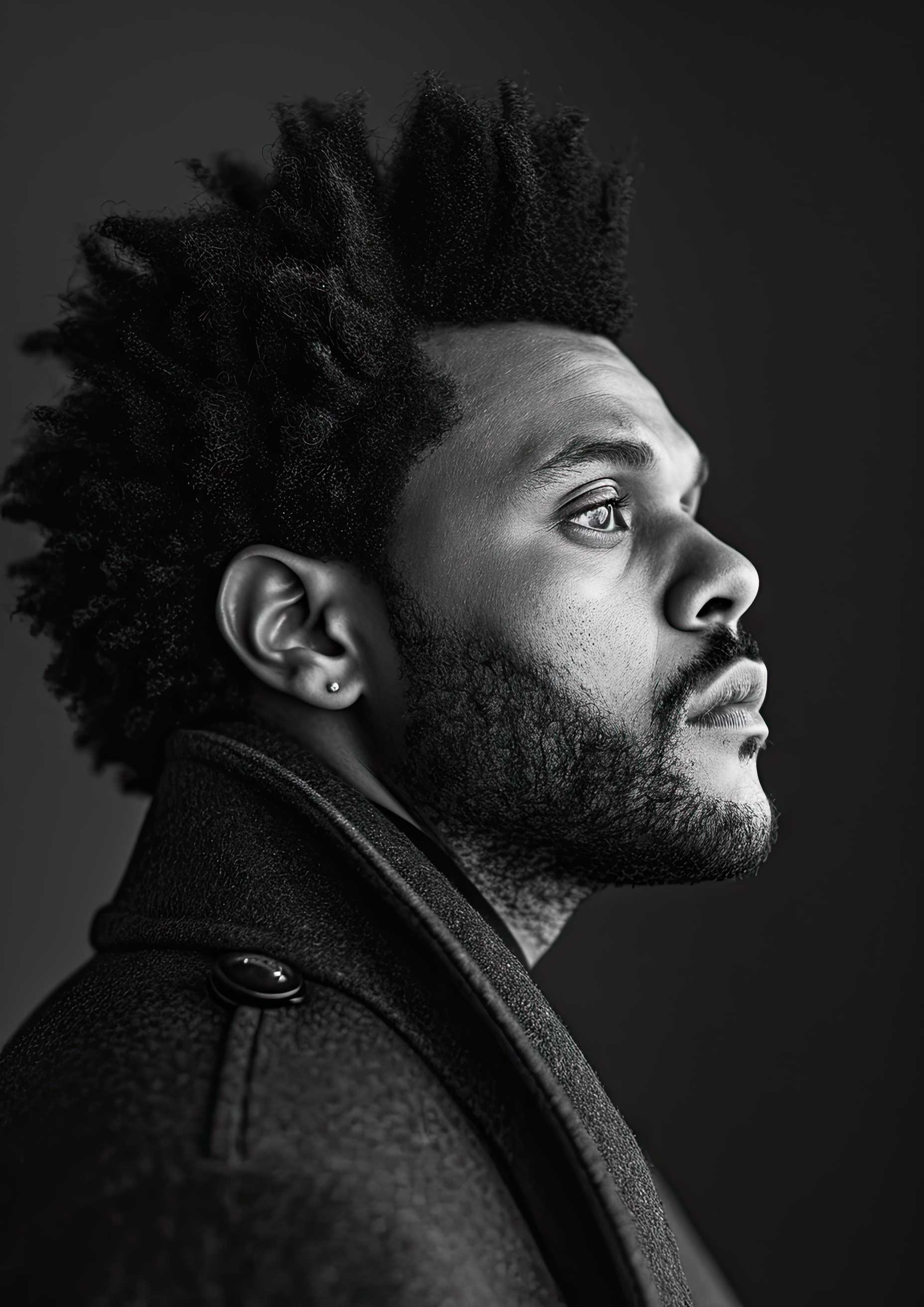 Preview for The-weeknd-black-and-white-portrait-celebrities-background-12357