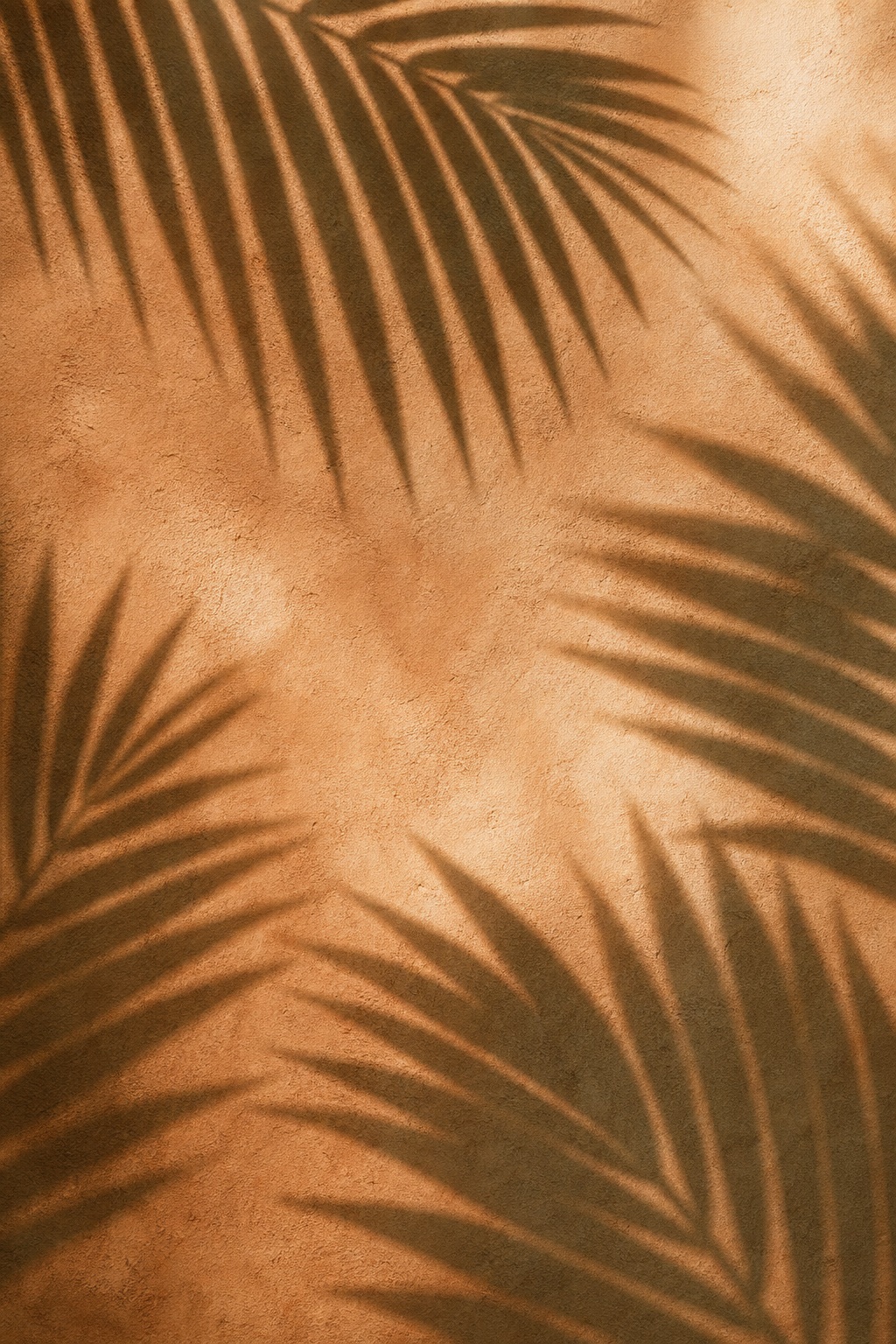 Preview for Terracotta Cream Palm Shadow Background