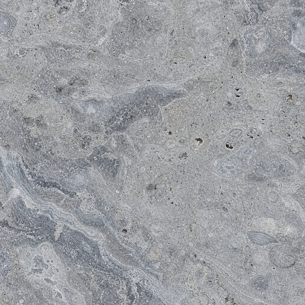 Cool silver limestone surface with subtle fossil grain and stone texture