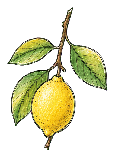 Preview for Lemon Branch With One Fruit Sticker