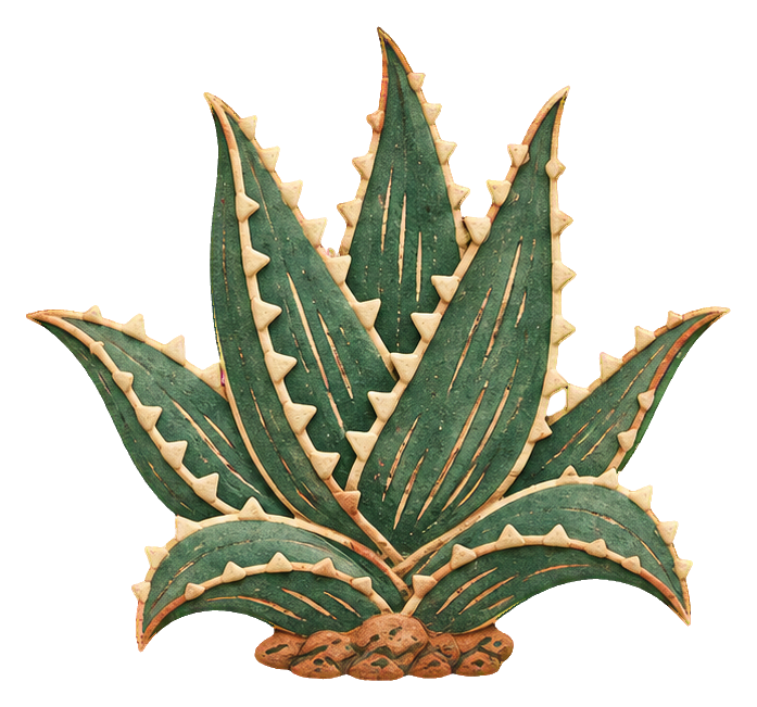 Preview for Sgraffito Desert Plants Aloe