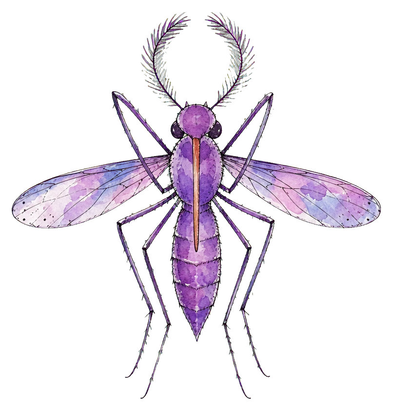 Preview for Lavender Mosquito Sticker