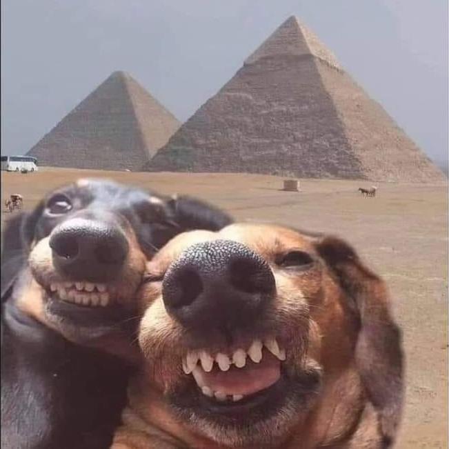 Thumbnail for Classic Memes