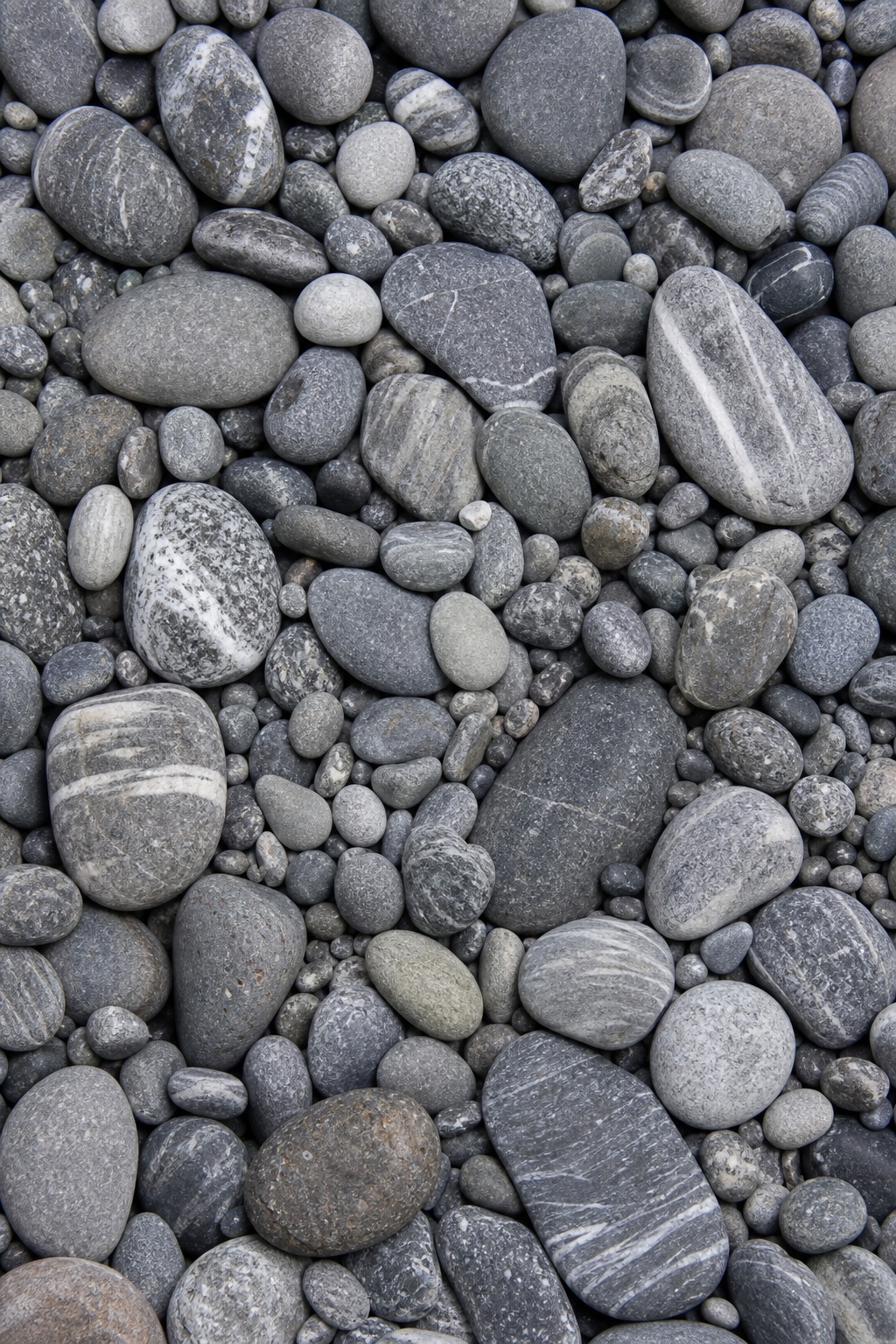 Rounded gray pebbles tightly packed into a smooth natural stone surface