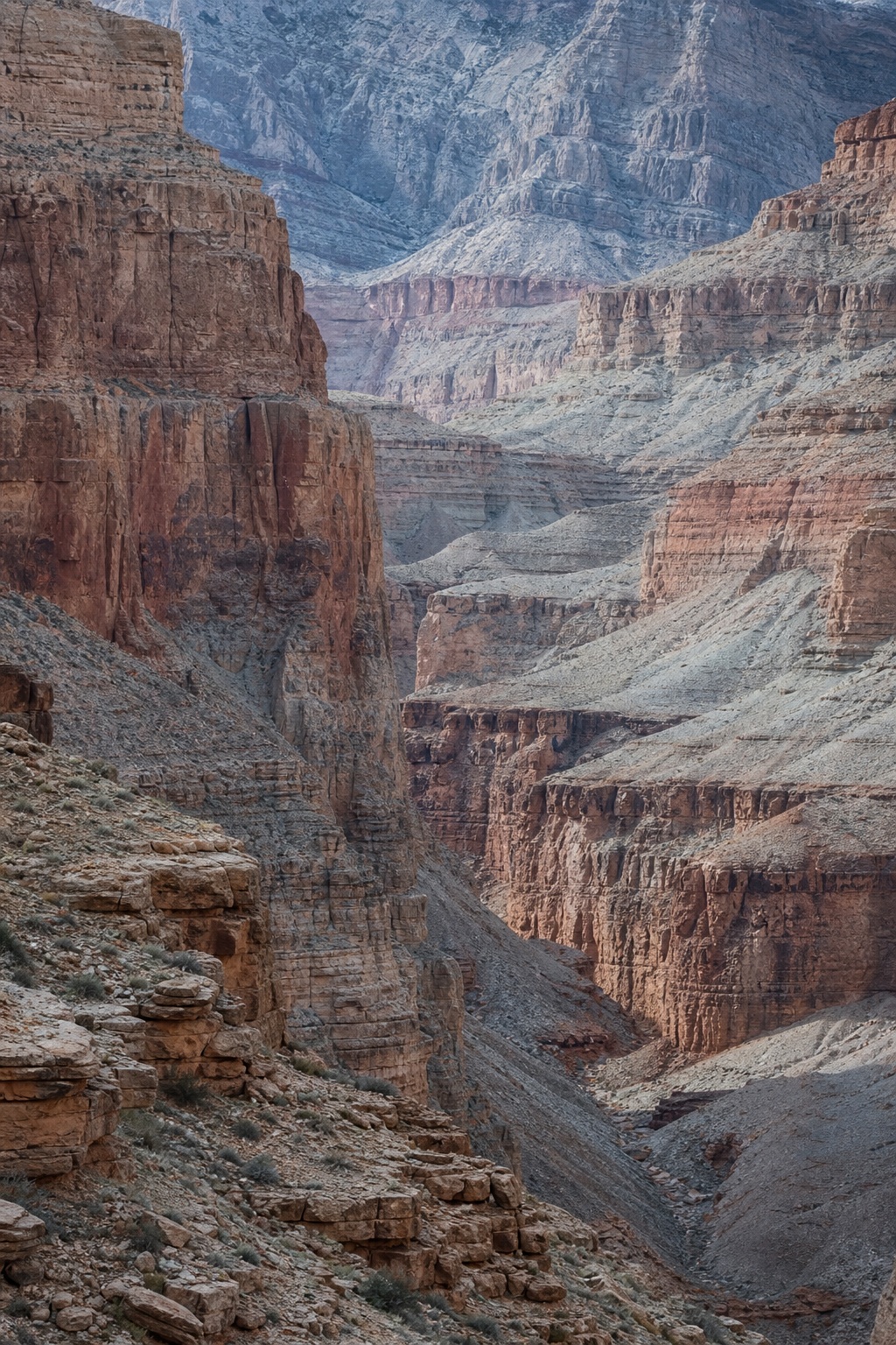 Layered sandstone canyon walls with rugged red rock cliffs in cool winter light