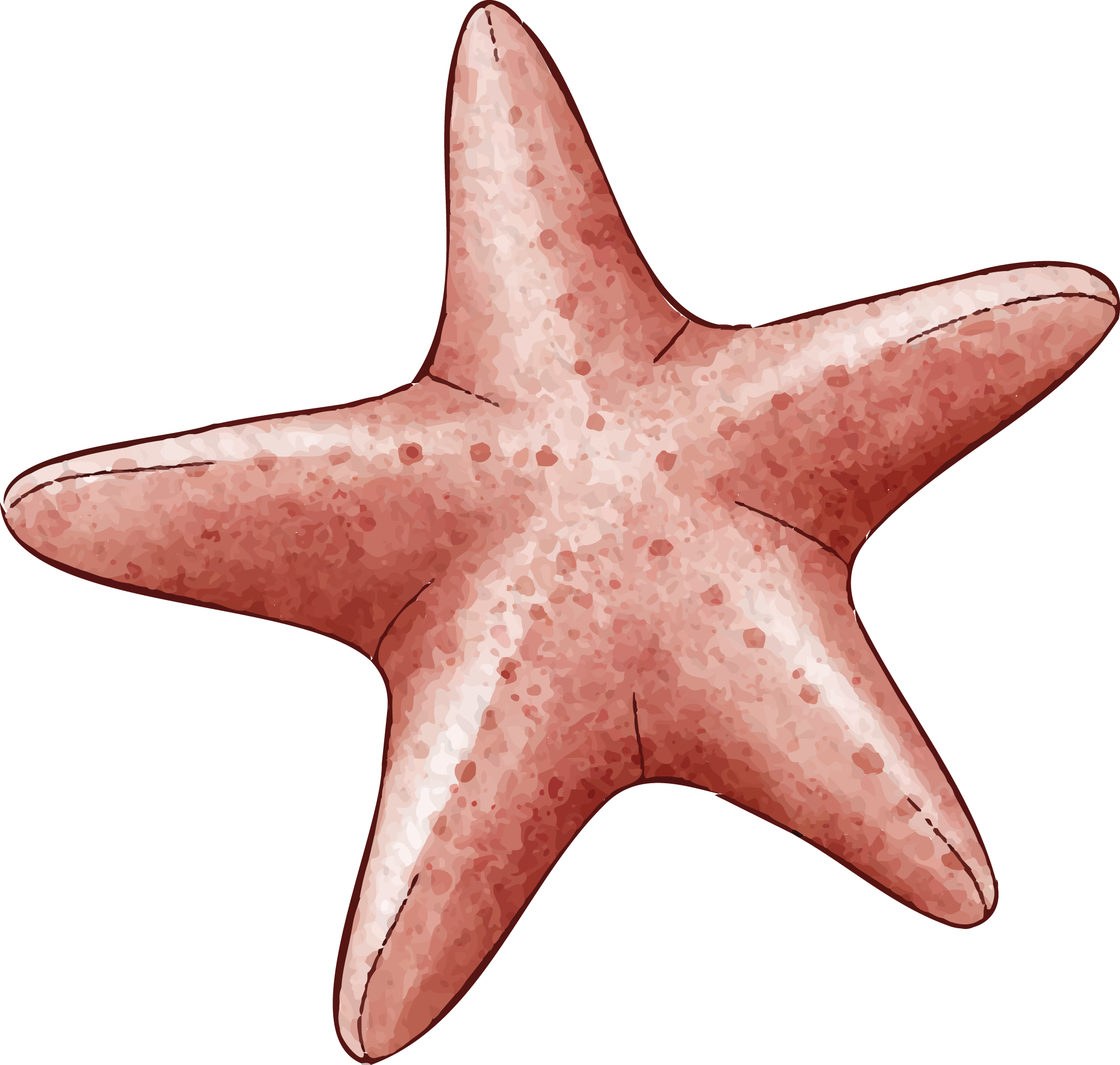 Preview for Pink-starfish-illustration-summer-watercolor-sticker-872a6