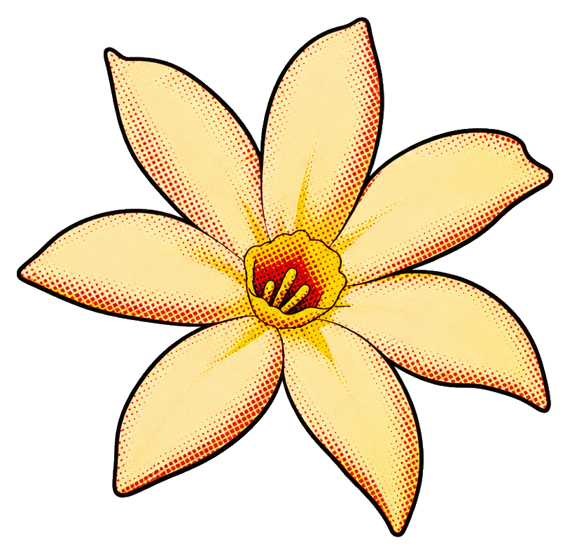 Preview for Retro Cream Jasmine Flower Sticker