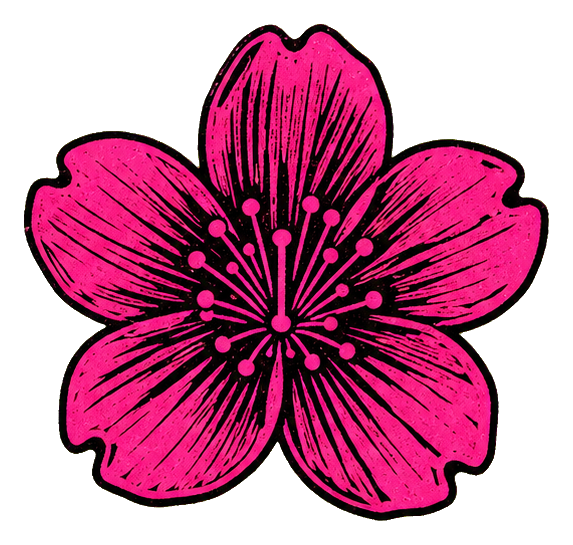 Preview for Bold Magenta Cherry Blossom Sticker